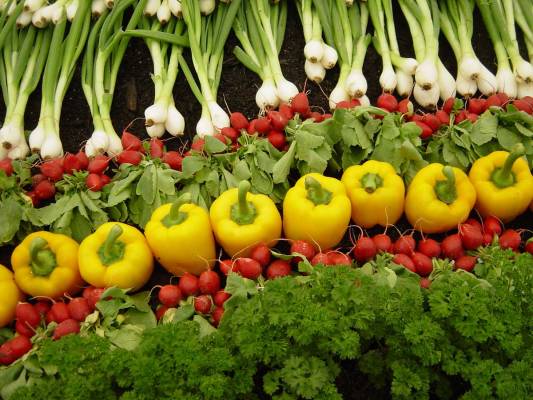 2e1ax_default_entry_organic-farming
